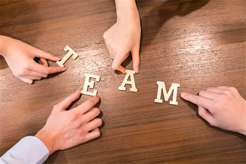 法律影片是什么