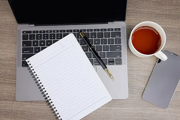 法律大类是什么