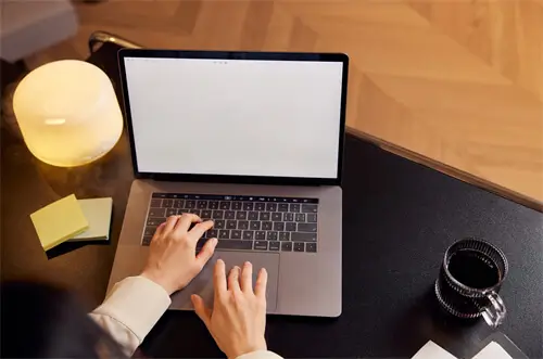 再审适用什么法律