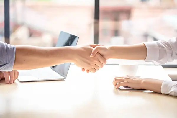 法律之子什么梗